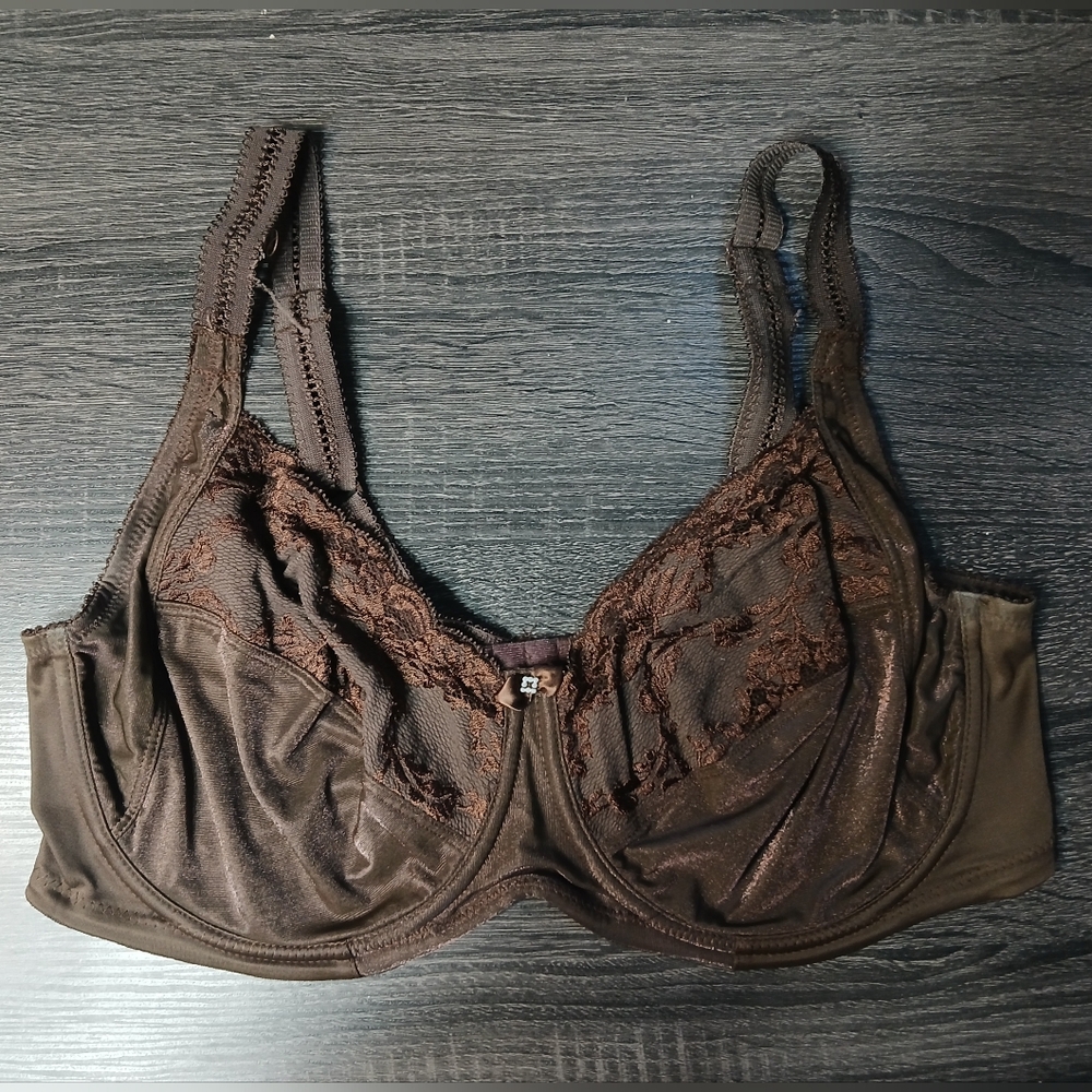 Vintage Pastunette Lace Trim Bra 40E